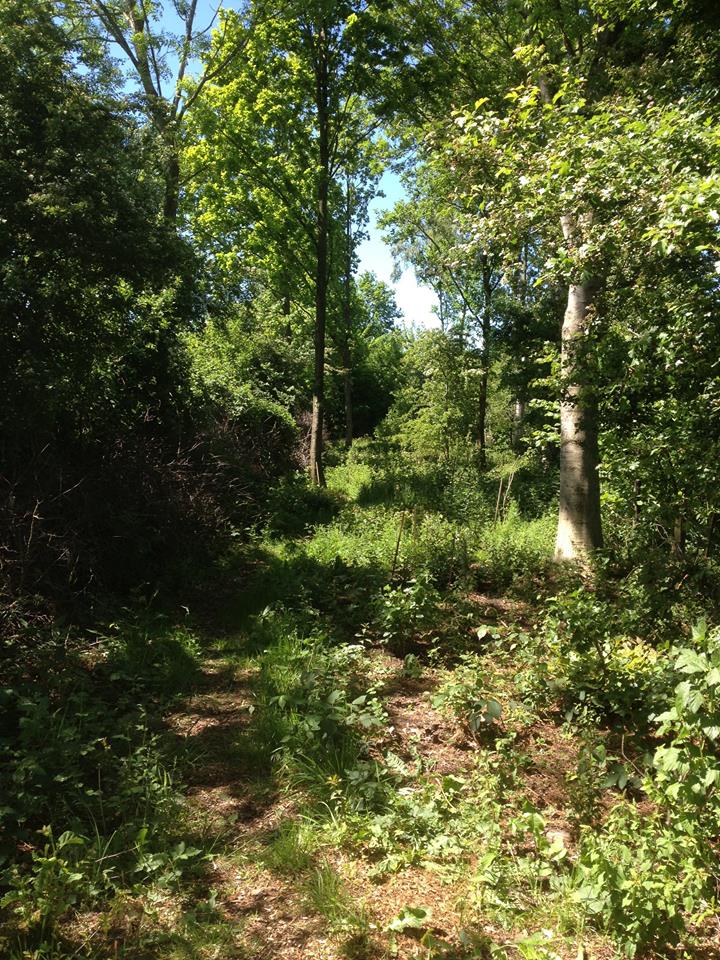 Voedselbos dorpstuin Hurdegaryp